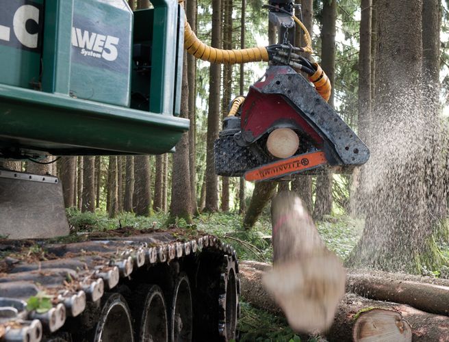 TTW Waldpflege