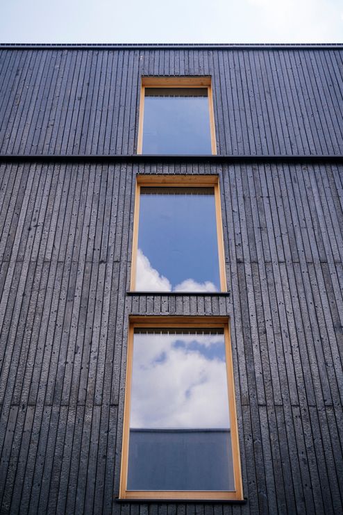 Detalle de fachada con la técnica «Yakisugi» © Manfred Jarisch, Bayerische Staatsforsten